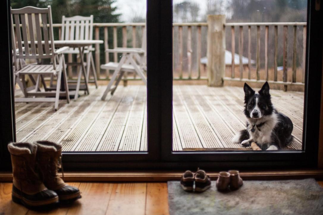 Coed Y Marchog Woodland Retreat Villa Hereford Eksteriør bilde