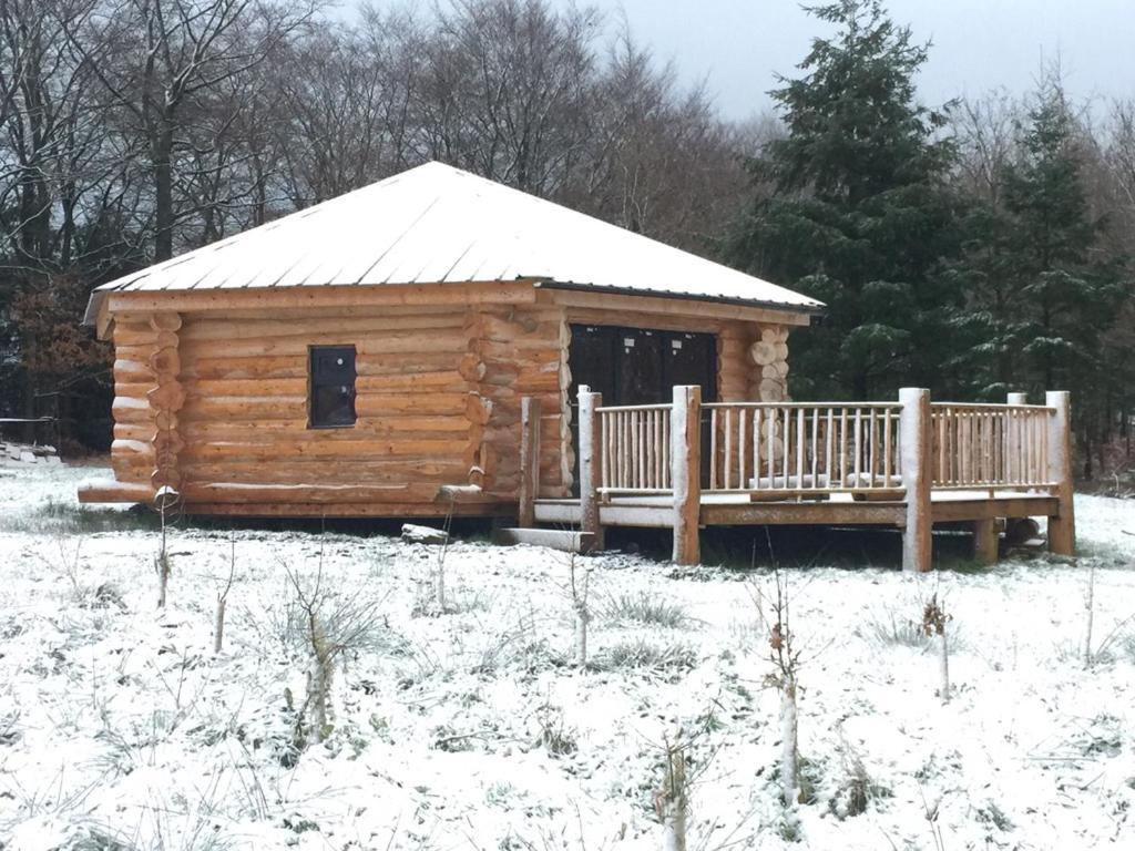 Coed Y Marchog Woodland Retreat Villa Hereford Eksteriør bilde